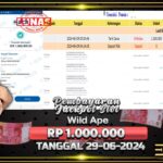 BUKTI JACKPOT SLOT WILD APE TERPERCAYA DI INDONESIA TGL 29-06-2024