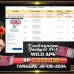 BUKTI JACKPOT SLOT WILD APE TERPERCAYA DI INDONESIA TGL 26-08-2024