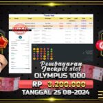 BUKTI JACKPOT SLOT GATES OF OLYMPUS 1000 TERPERCAYA DI INDONESIA TGL 25-08-2024